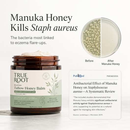 Whipped Tallow & Honey Balm